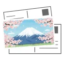 Postcard fuji sakura2